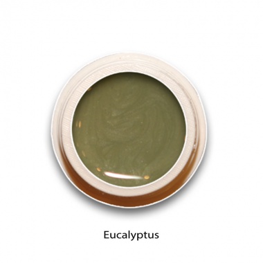 Eucalyptus