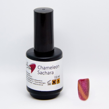 CHAMELEON  Sachara