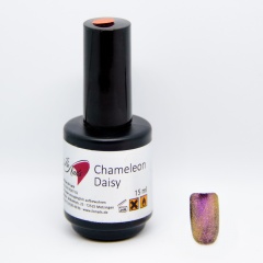 CHAMELEON Daisy